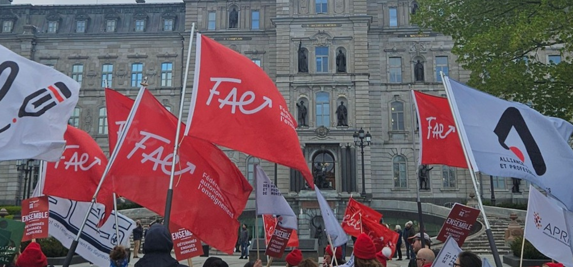 PL 100 20250521 manifestation1920x1920